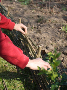 Bordure en noisetier ou plessis