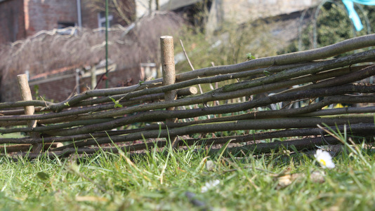 Bordure en noisetier ou plessis