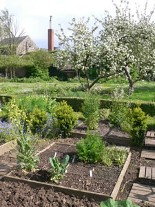 Le potager en carrés en avril