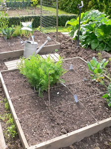 Le potager en carrés en avril