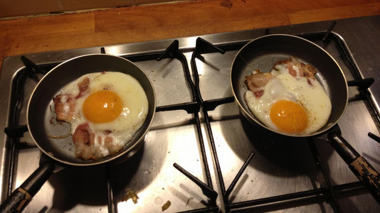 Trois poules en hiver