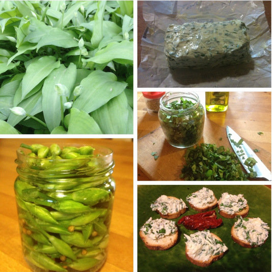 Recettes à base d'ail des ours