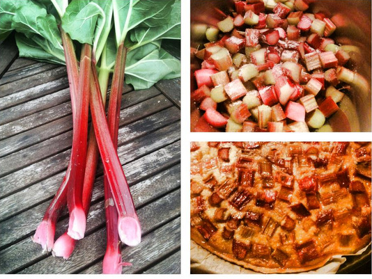 Tarte à la rhubarbe