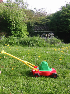 Tonte de la pelouse au printemps