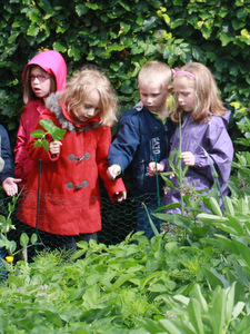 L'école visite le potager