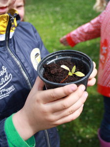 L'école visite le potager