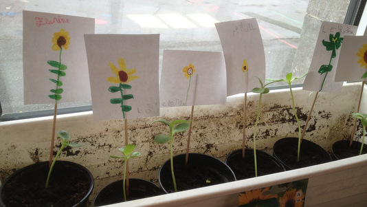 L'école visite le potager