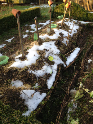 Permaculture en hiver