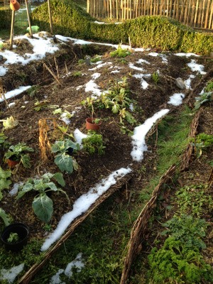 Permaculture en hiver