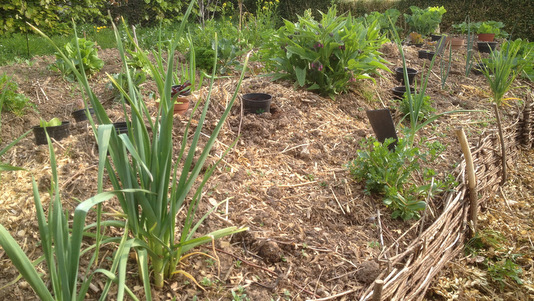 Permaculture au printemps