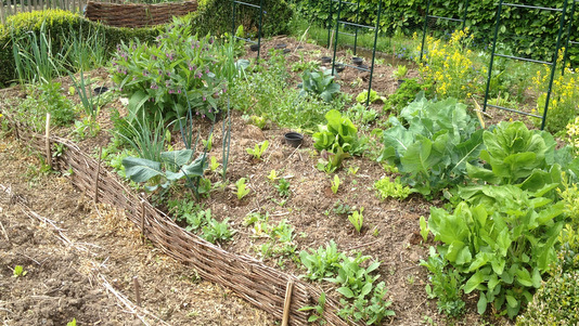 Permaculture au printemps