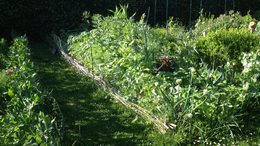 Butte de permaculture