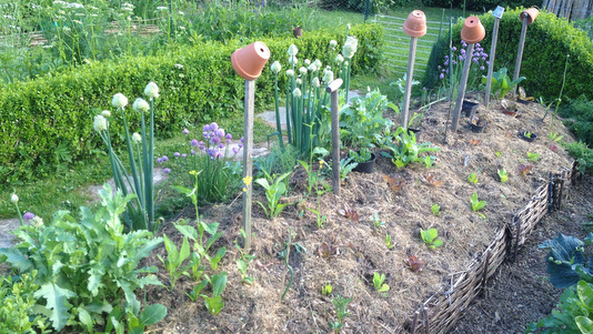 Butte de permaculture