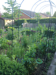 Buttes de permaculture