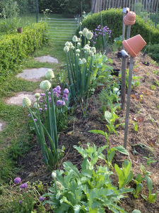 Buttes de permaculture