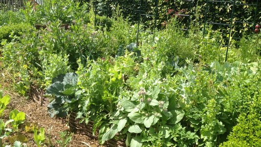 Buttes de permaculture