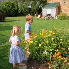 Un jardin en constante évolution