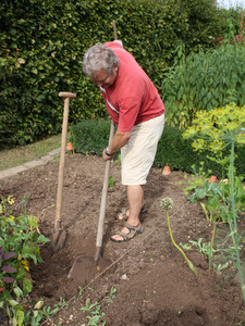 Buttes en permaculture : le creusage des allées