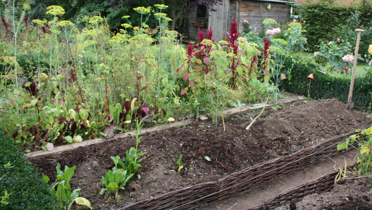 Butte en permaculture