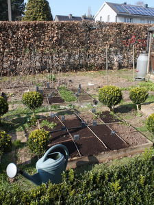 Potager en carré en mars