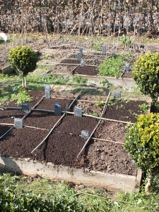 Potager en carré en mars