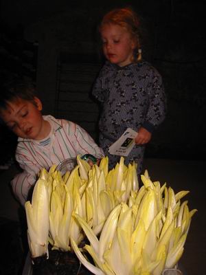 IMG_8771.JPG