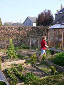 Potager en carrés