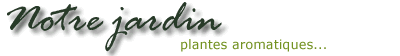 Plantes aromatiques de notre jardin